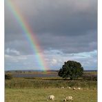 Regenbogen...