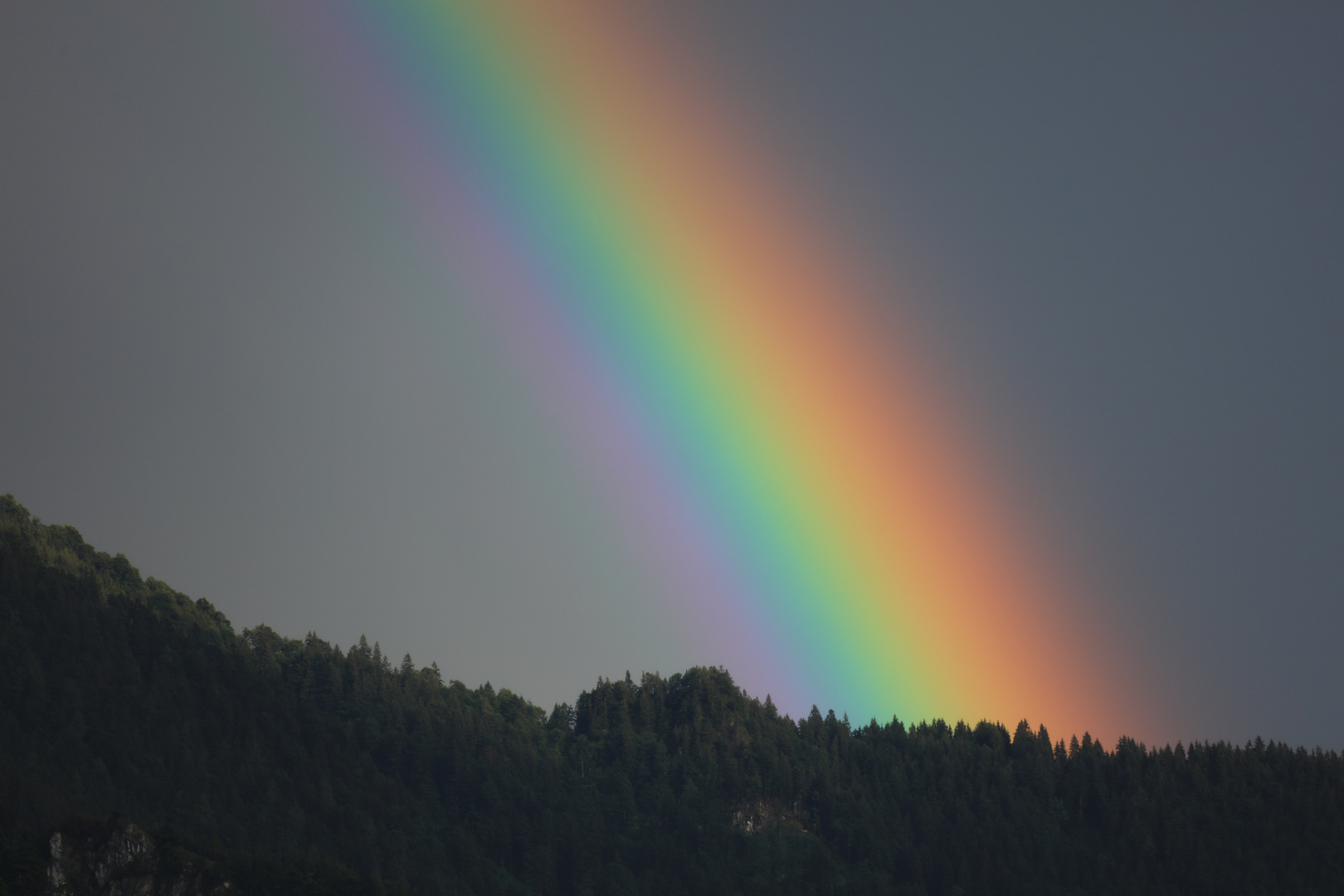 Regenbogen