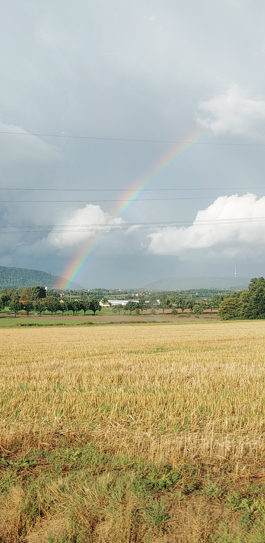 Regenbogen