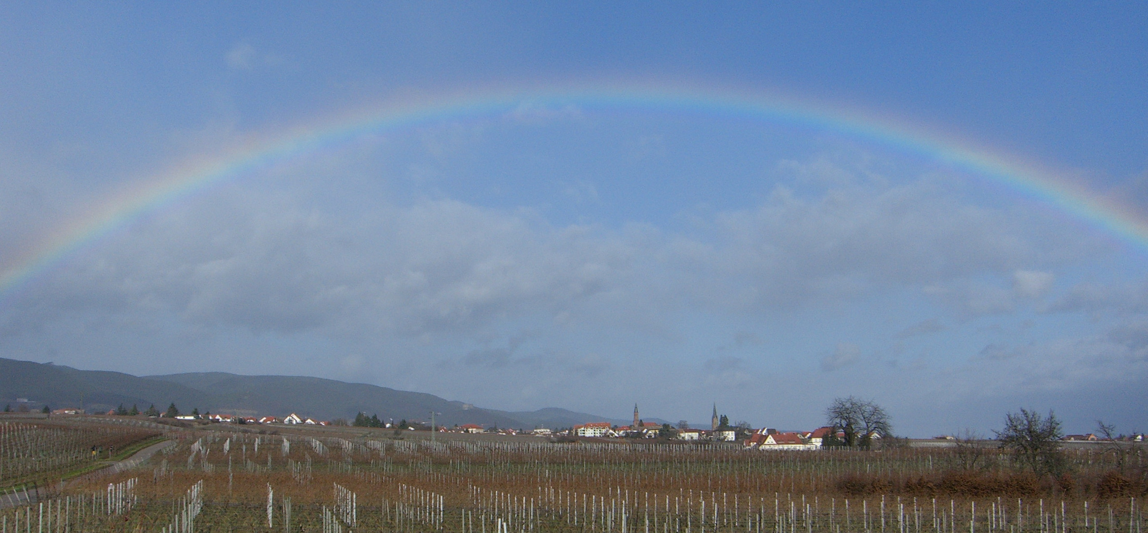 Regenbogen