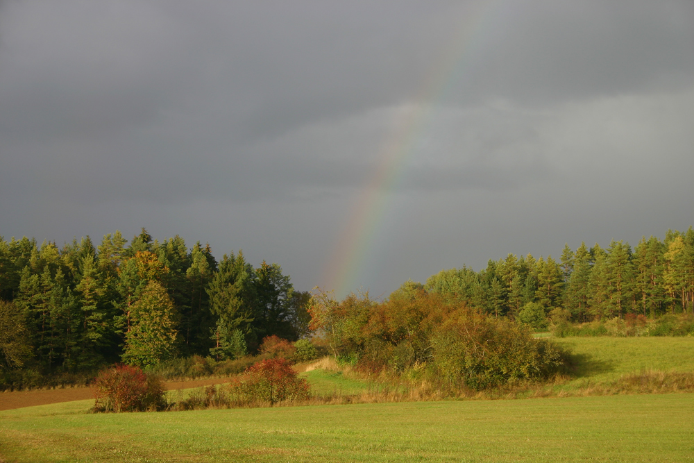 Regenbogen