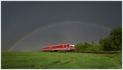 Regenbogen