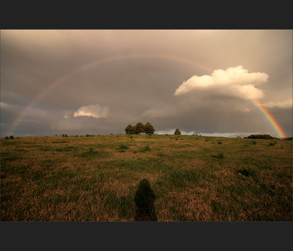 Regenbogen