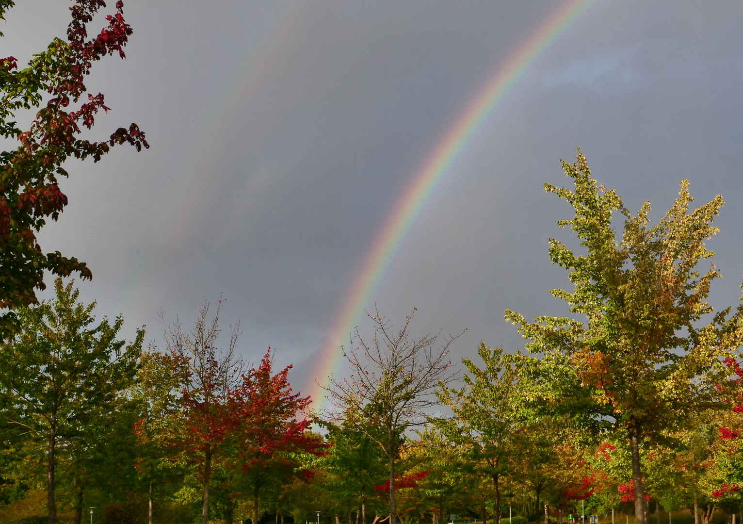 Regenbogen 