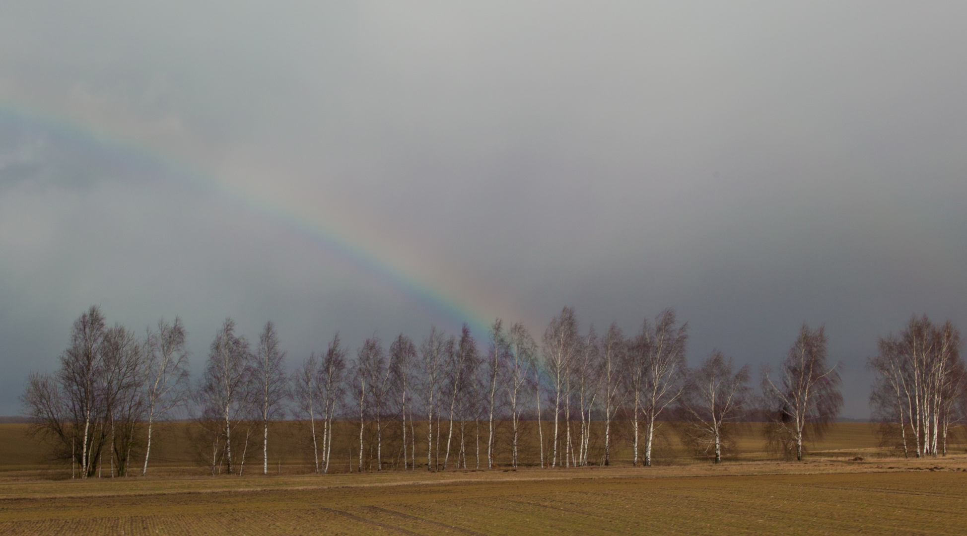 Regenbogen