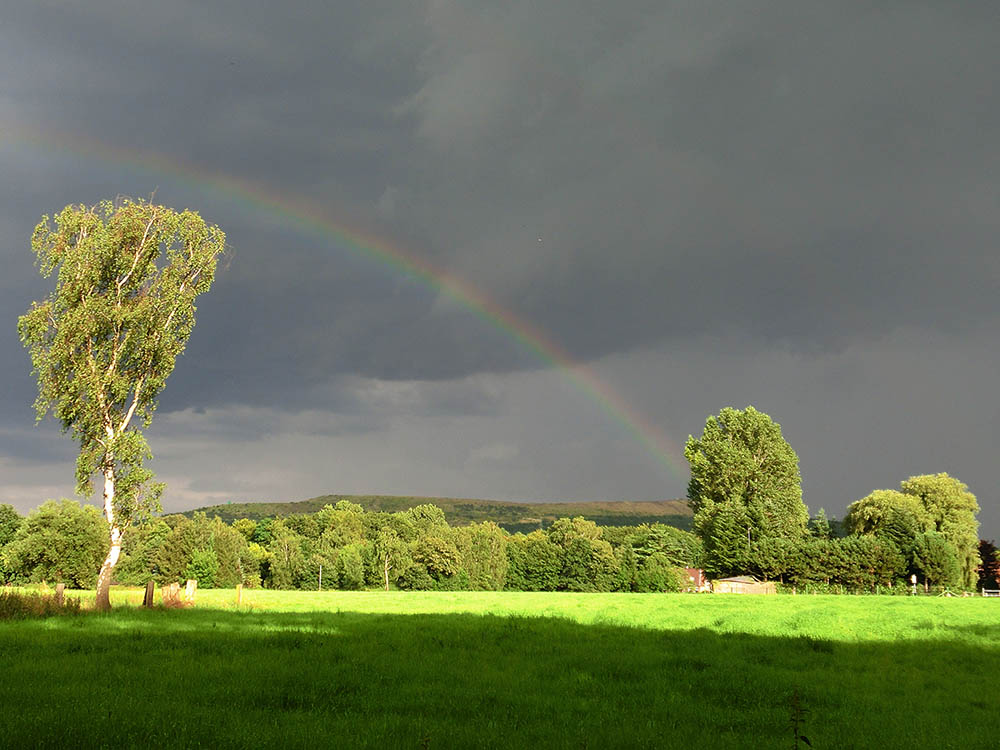 Regenbogen 1