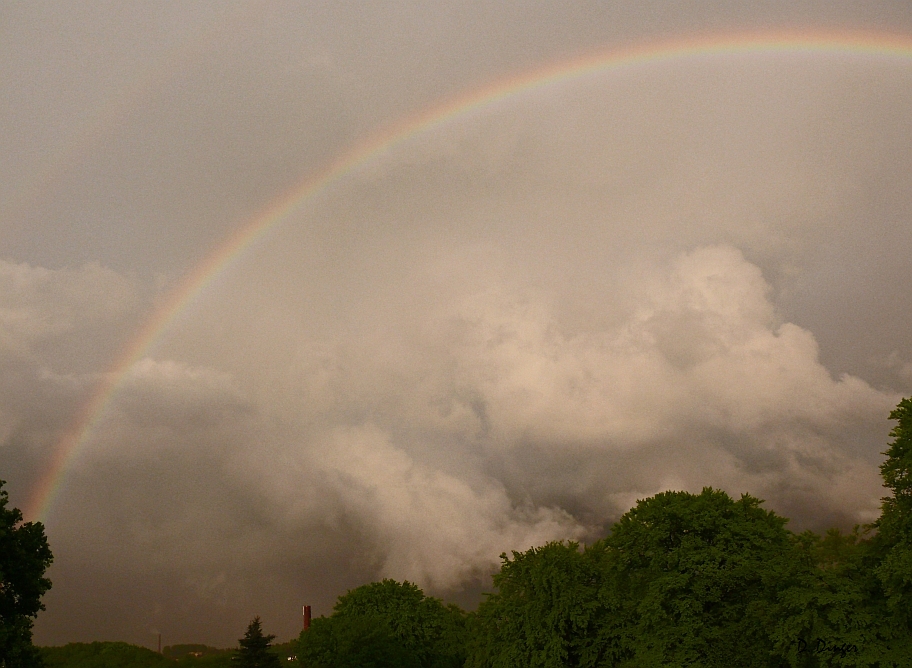 Regenbogen (1)