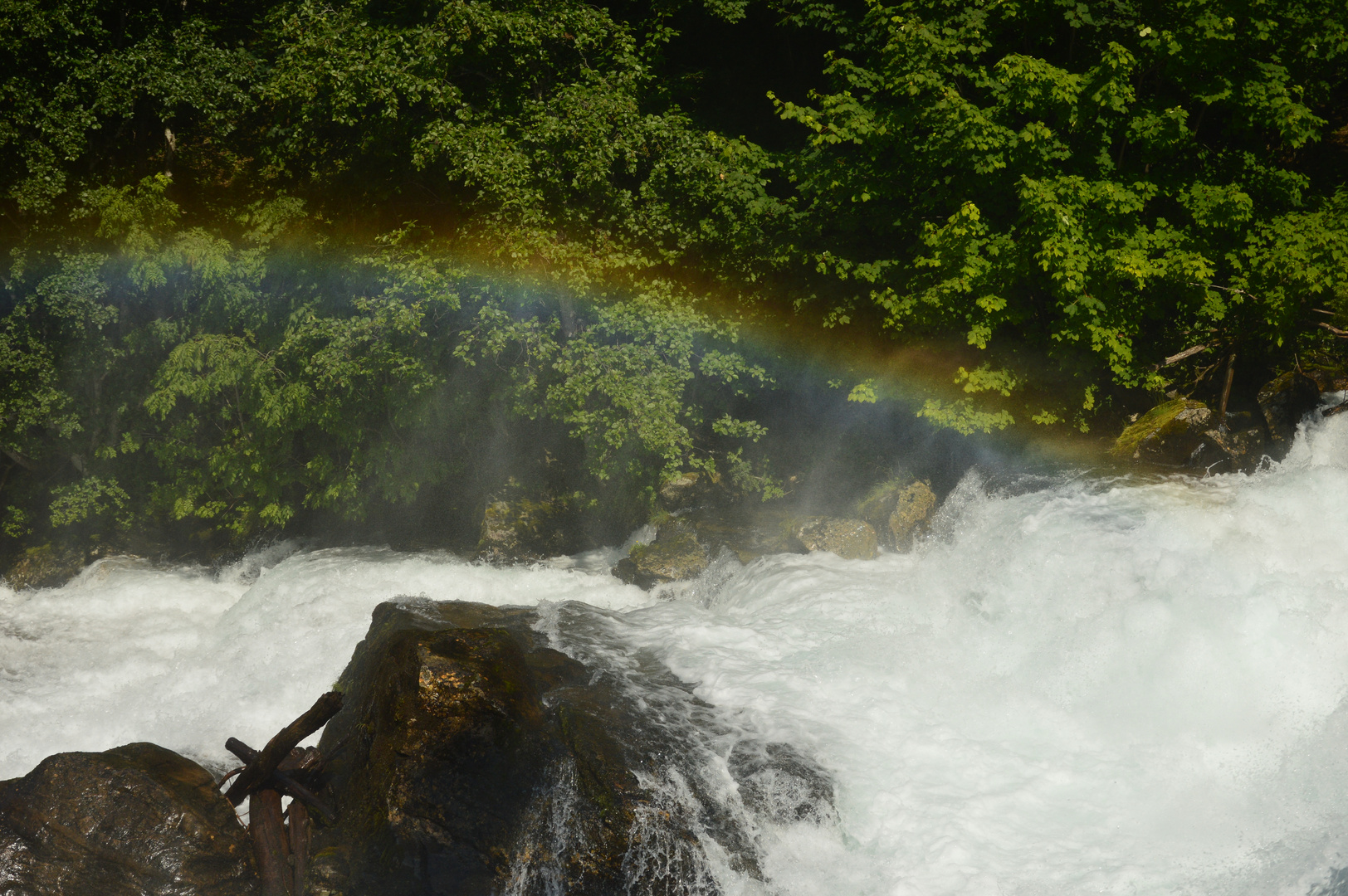 Regenbogen