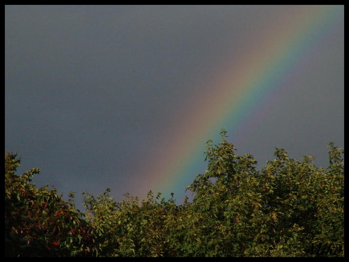 Regenbogen