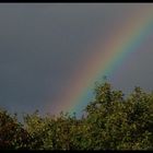 Regenbogen