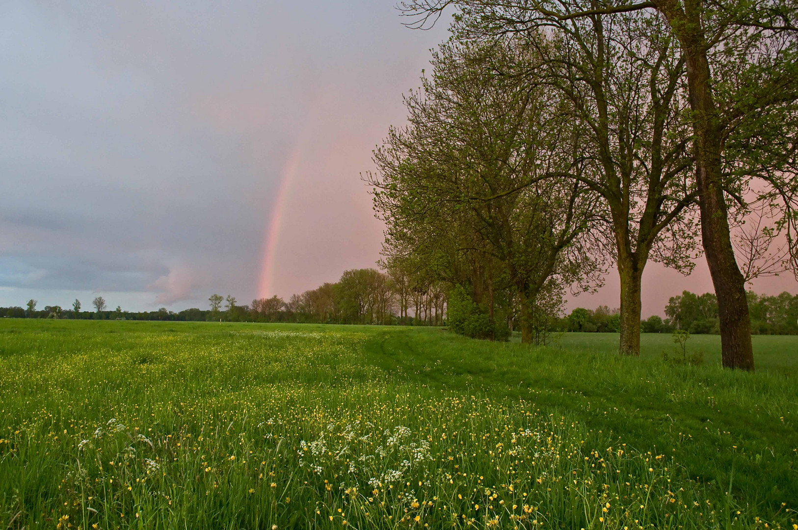 Regenbogen