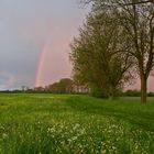 Regenbogen