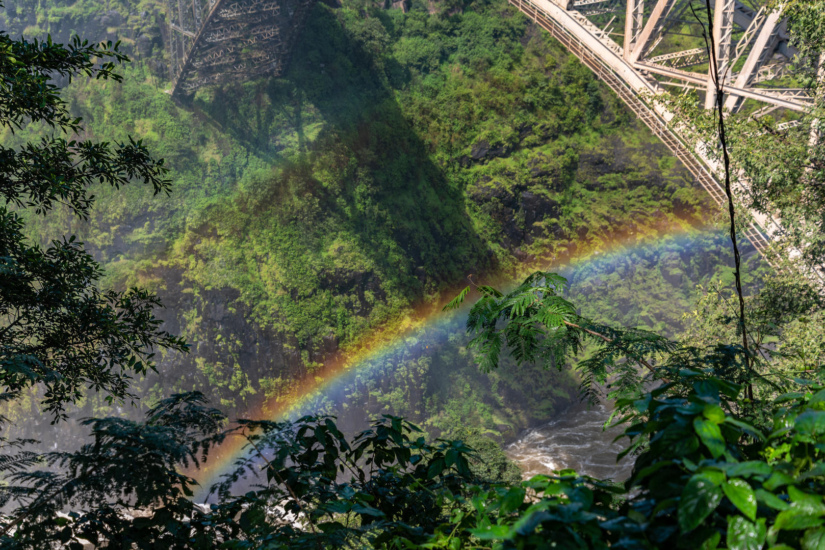 Regenbogen