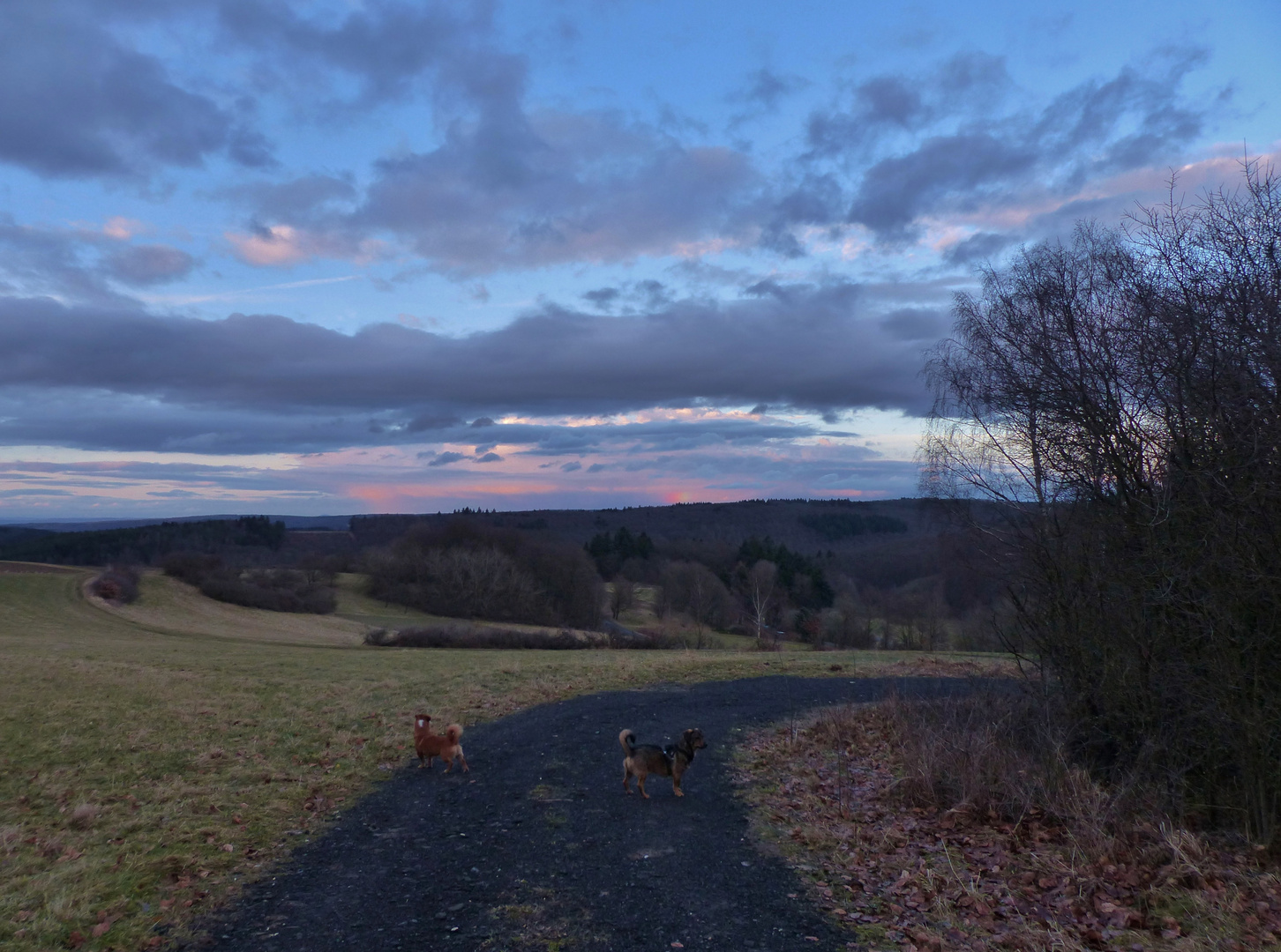 Regenbogen 12.03.2018_01