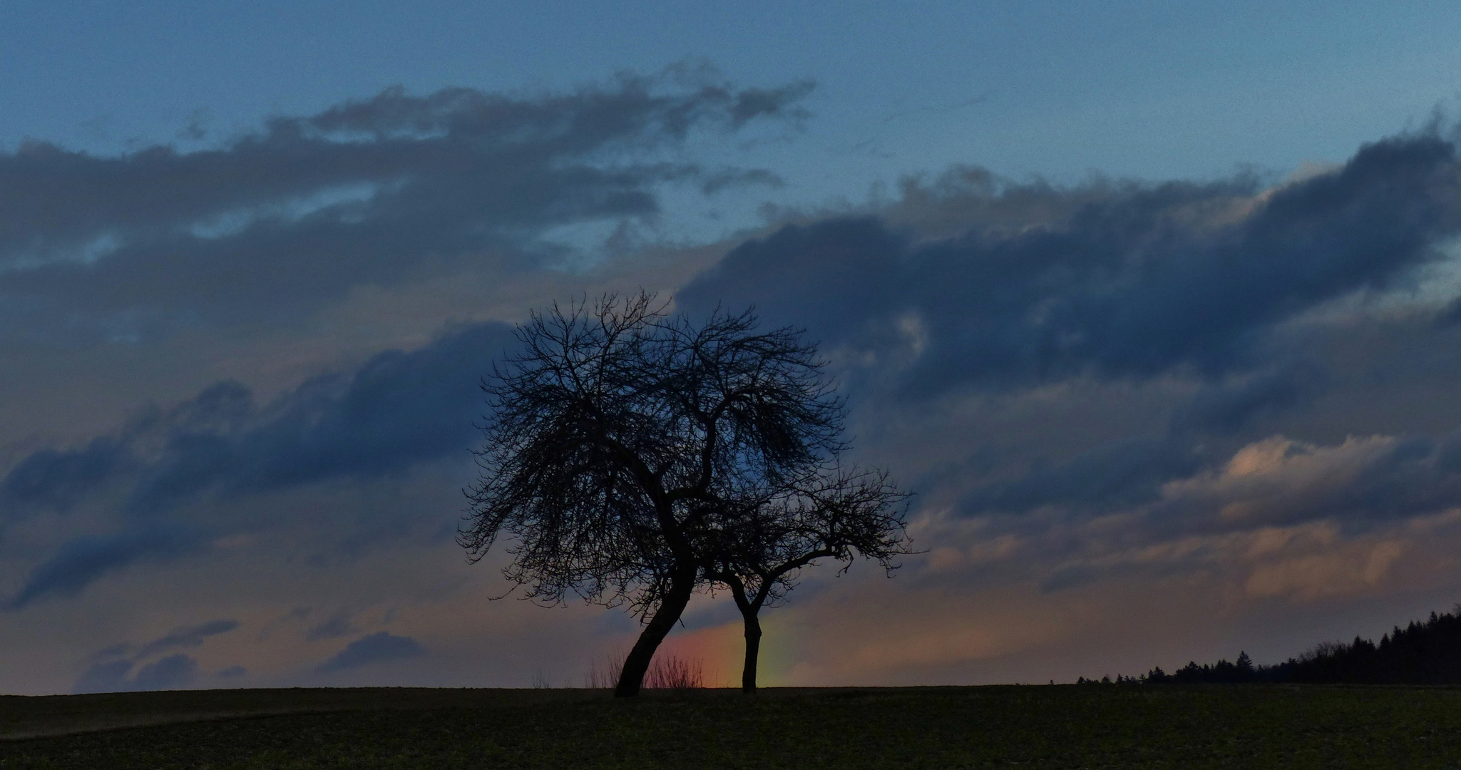 Regenbogen 12.03.2018_03