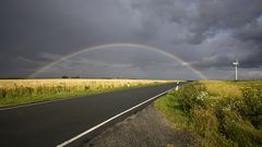 Regenbogen