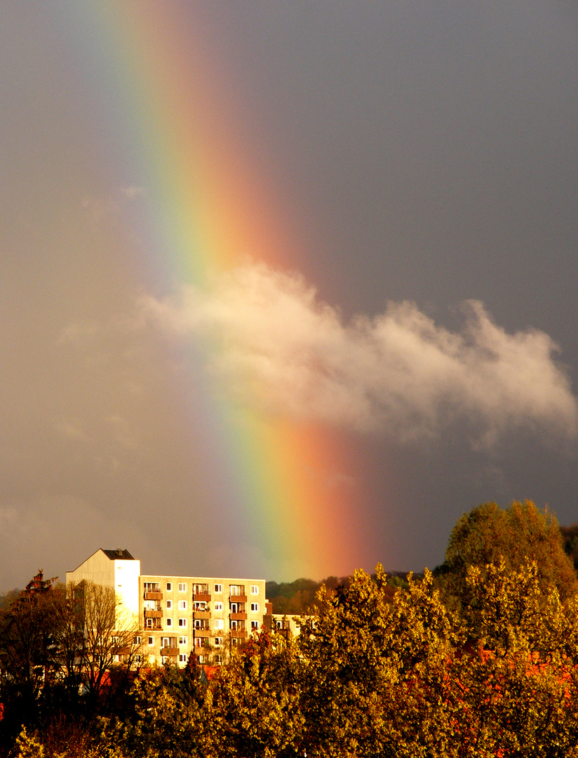 Regenbogen