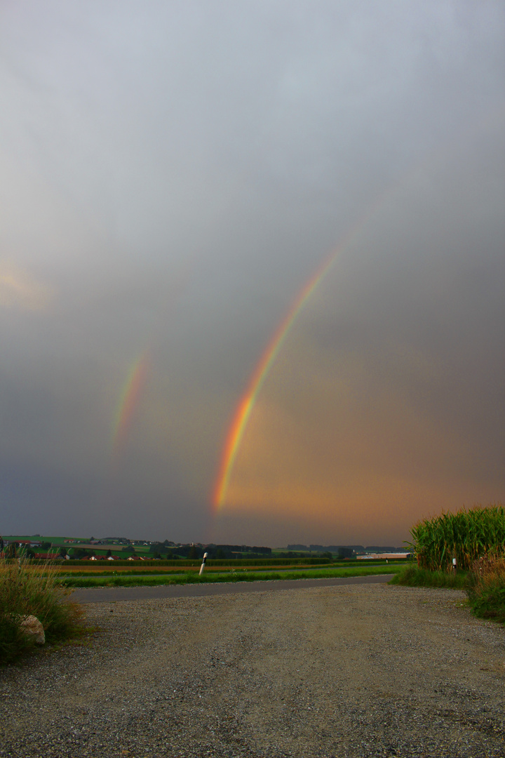 Regenbogen