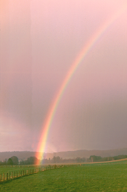 Regenbogen