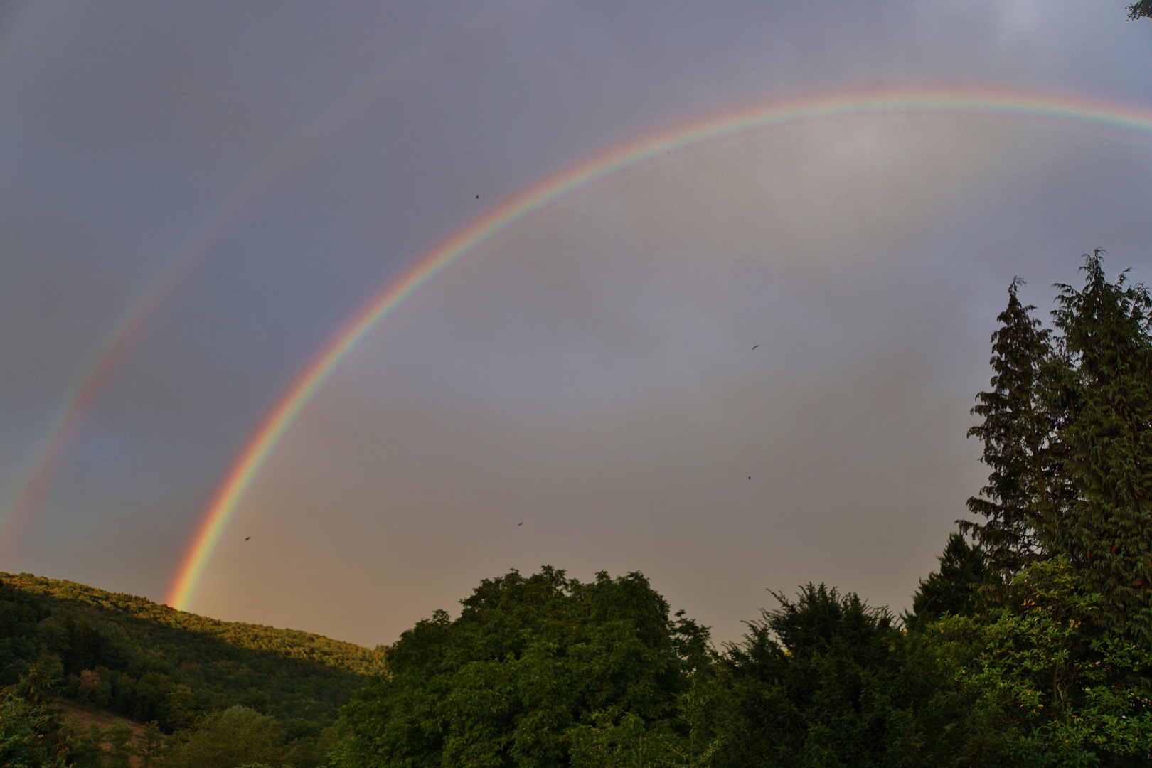 Regenbogen 13.08.2018_02