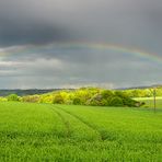 Regenbogen