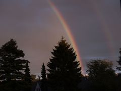 Regenbogen