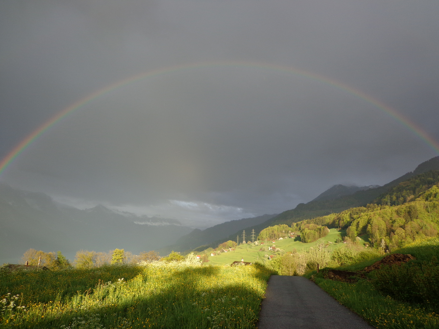 regenbogen