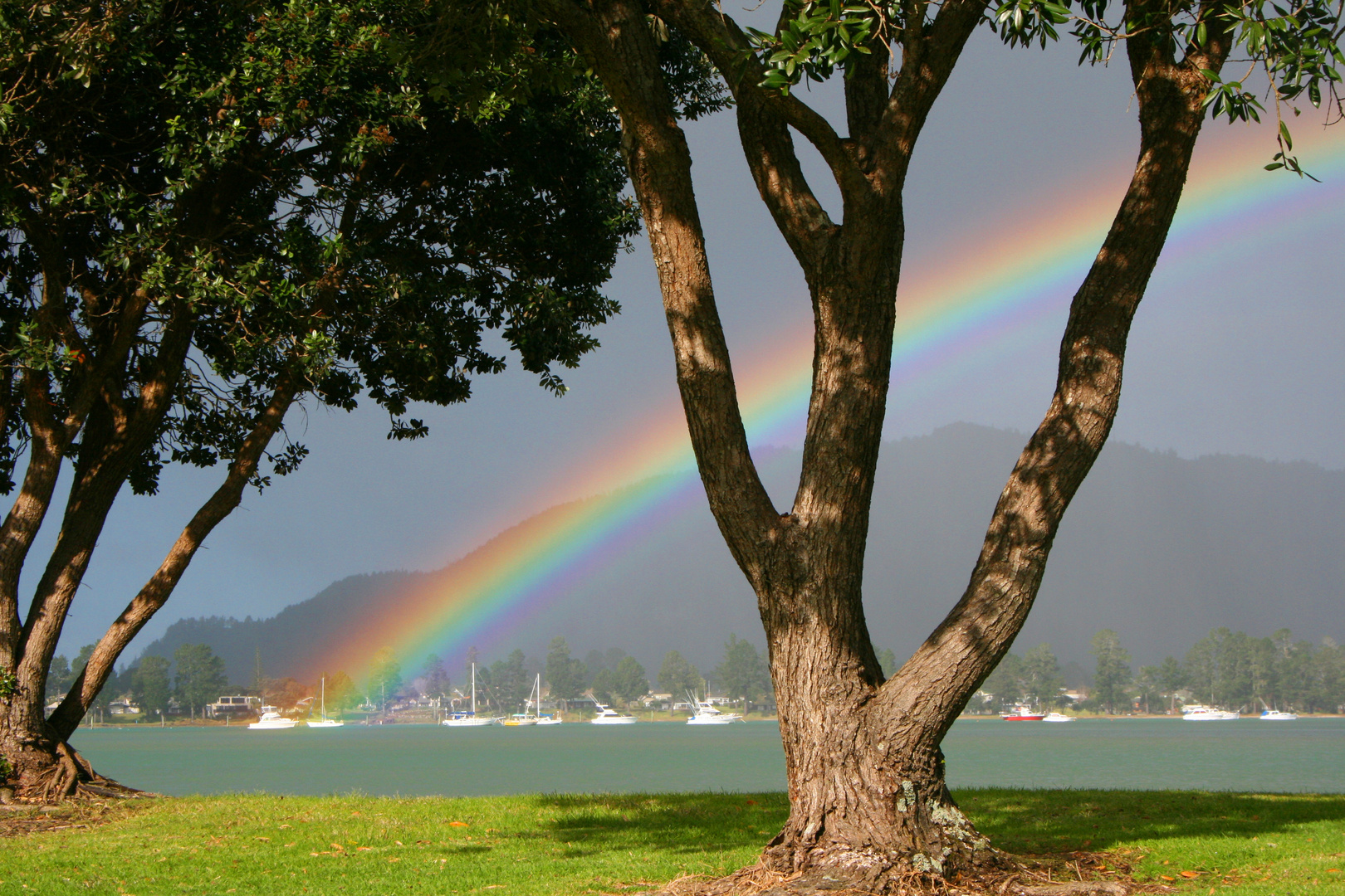 Regenbogen