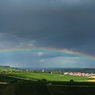 Regenbogen