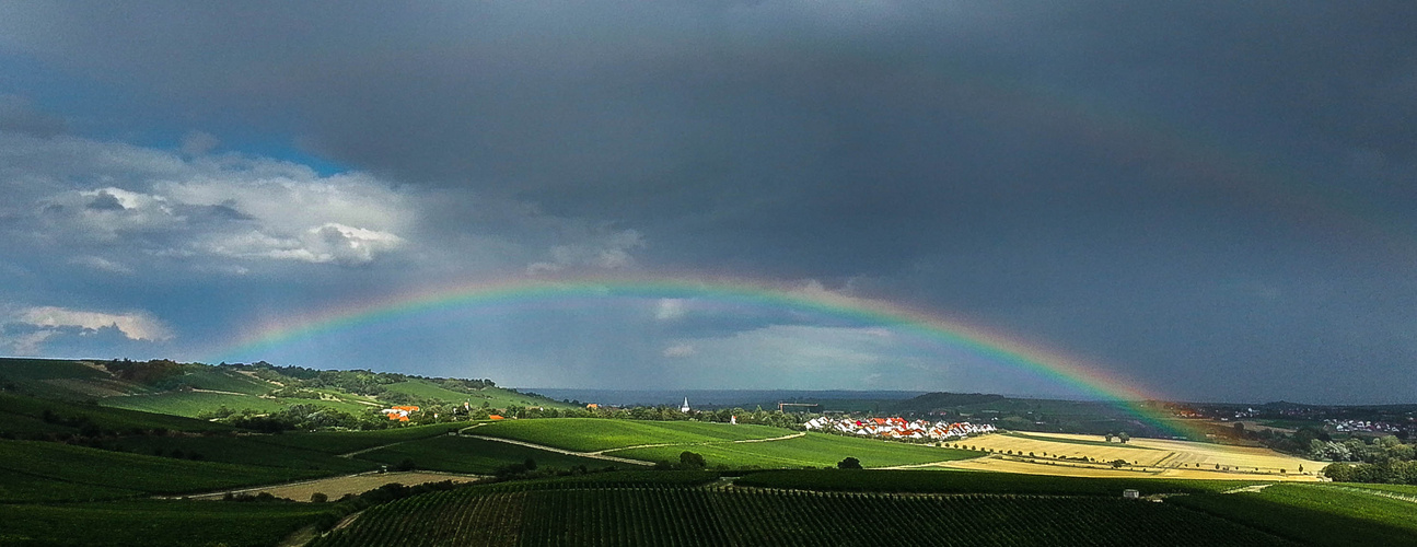 Regenbogen