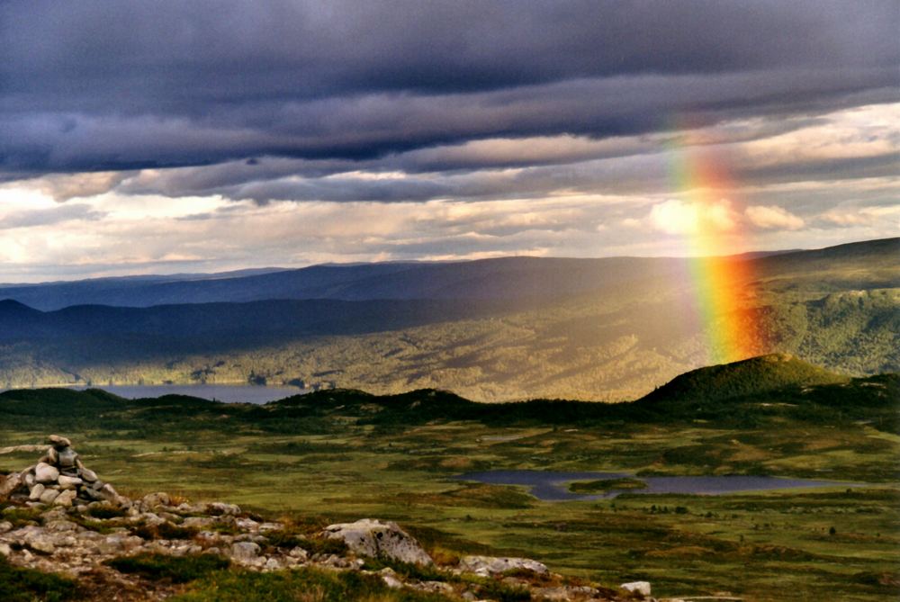 Regenbogen...