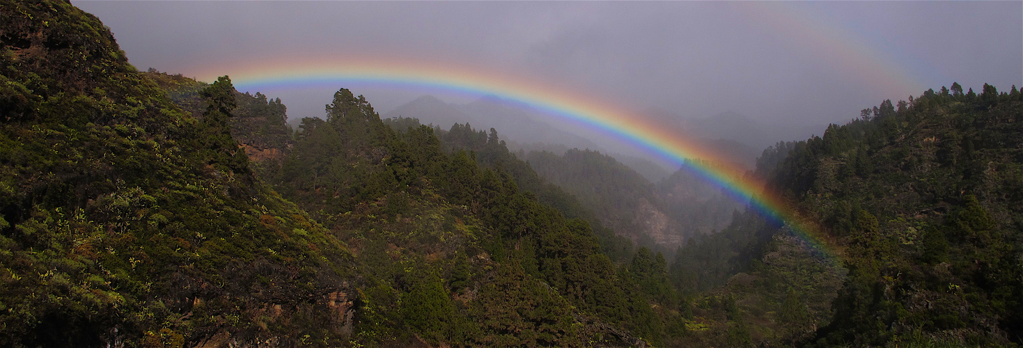 Regenbogen