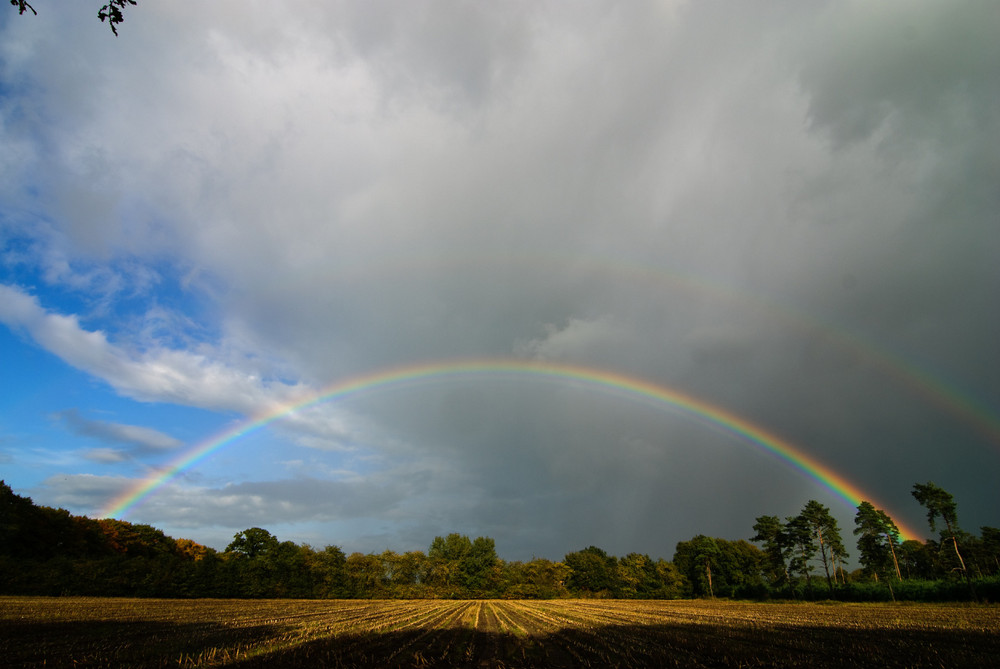 Regenbogen