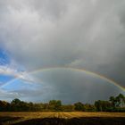 Regenbogen