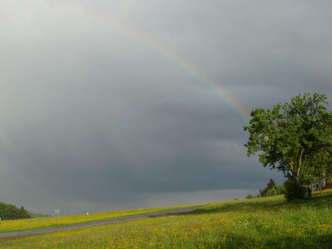 Regenbogen