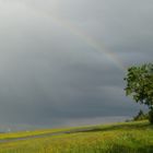 Regenbogen