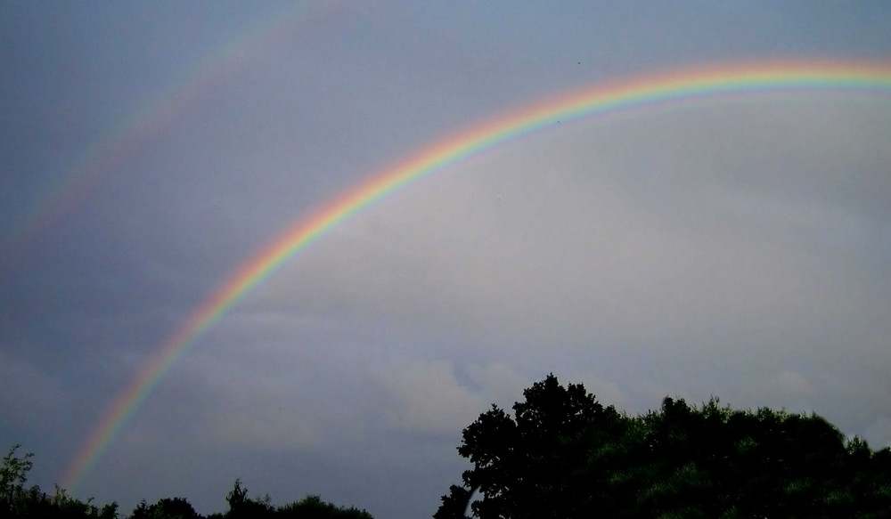 Regenbogen