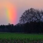 Regenbogen