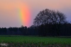 Regenbogen