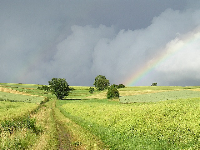 Regenbogen