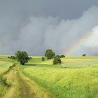 Regenbogen