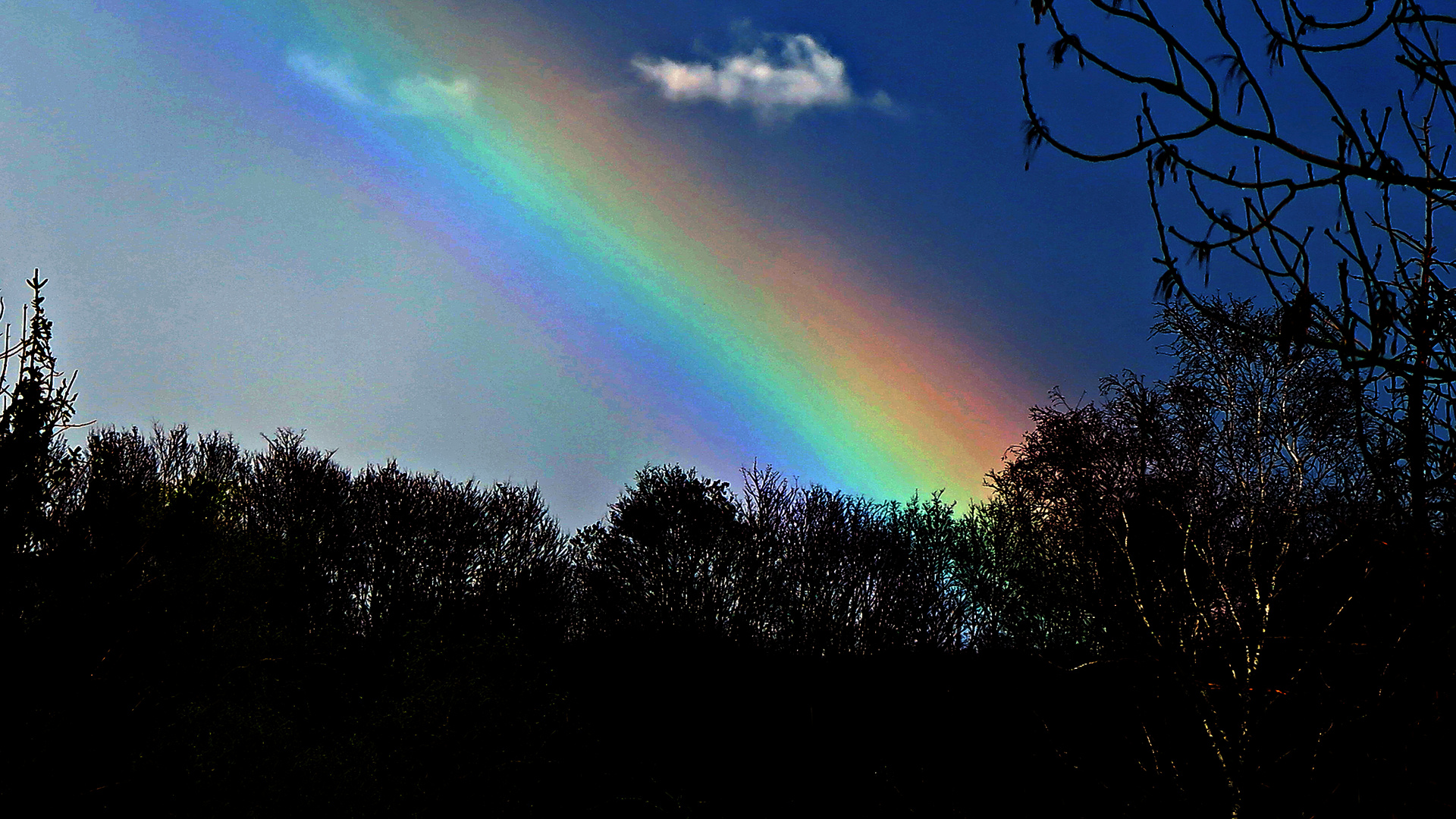 REGENBOGEN