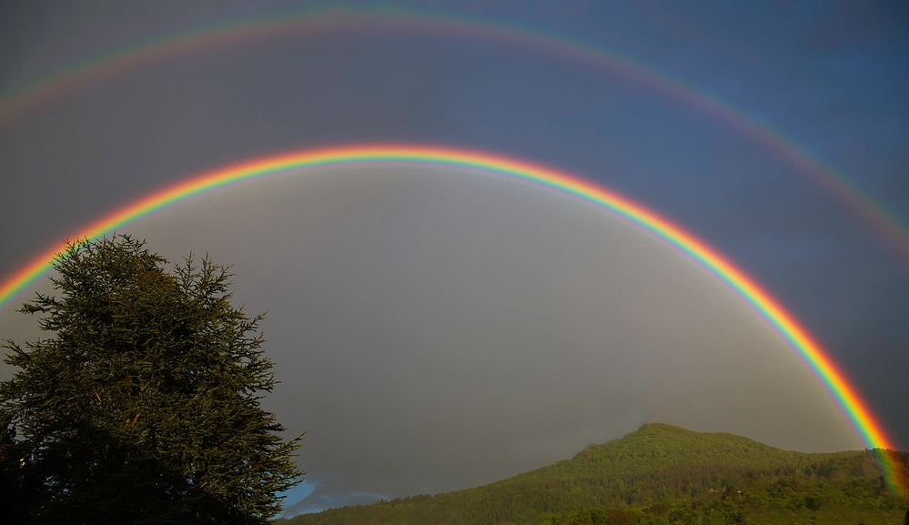 Regenbogen