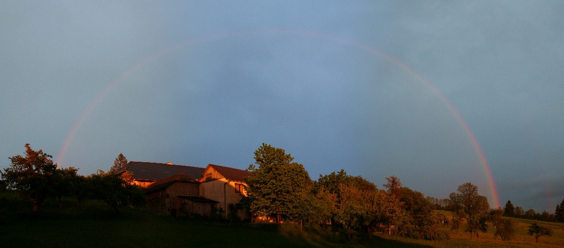 regenbogen