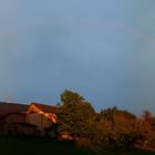 regenbogen