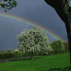 Regenbogen