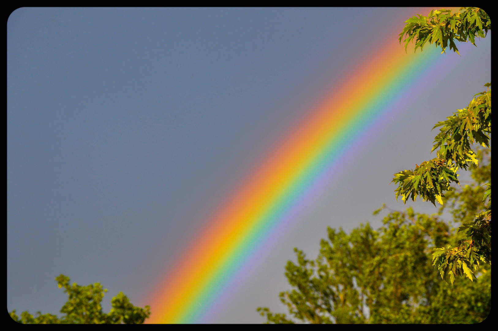 Regenbogen