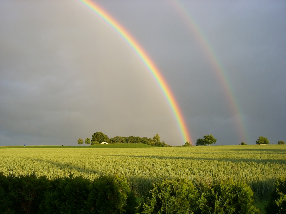 Regenbogen