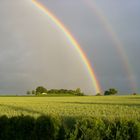 Regenbogen