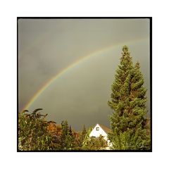 Regenbogen